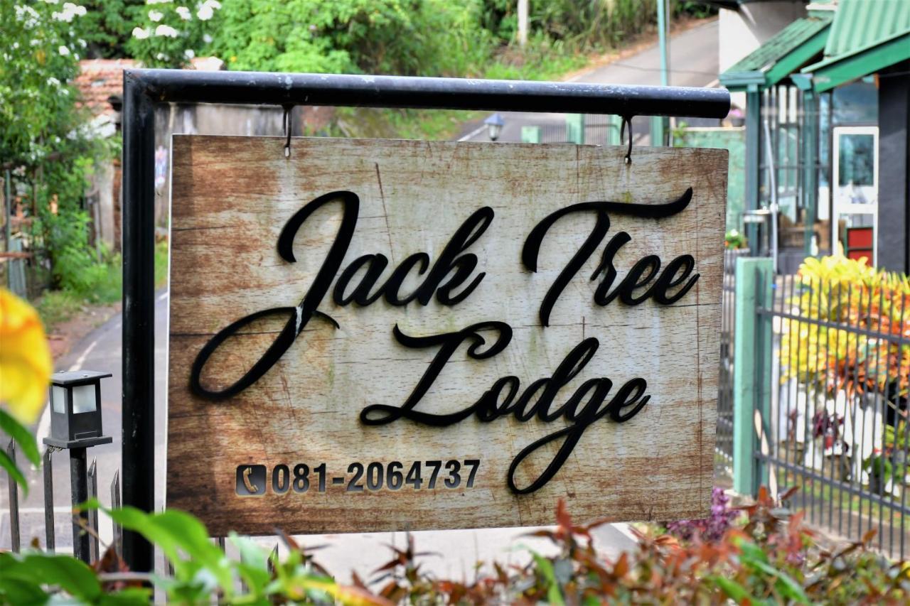 Jack Tree Lodge Kandy Bagian luar foto