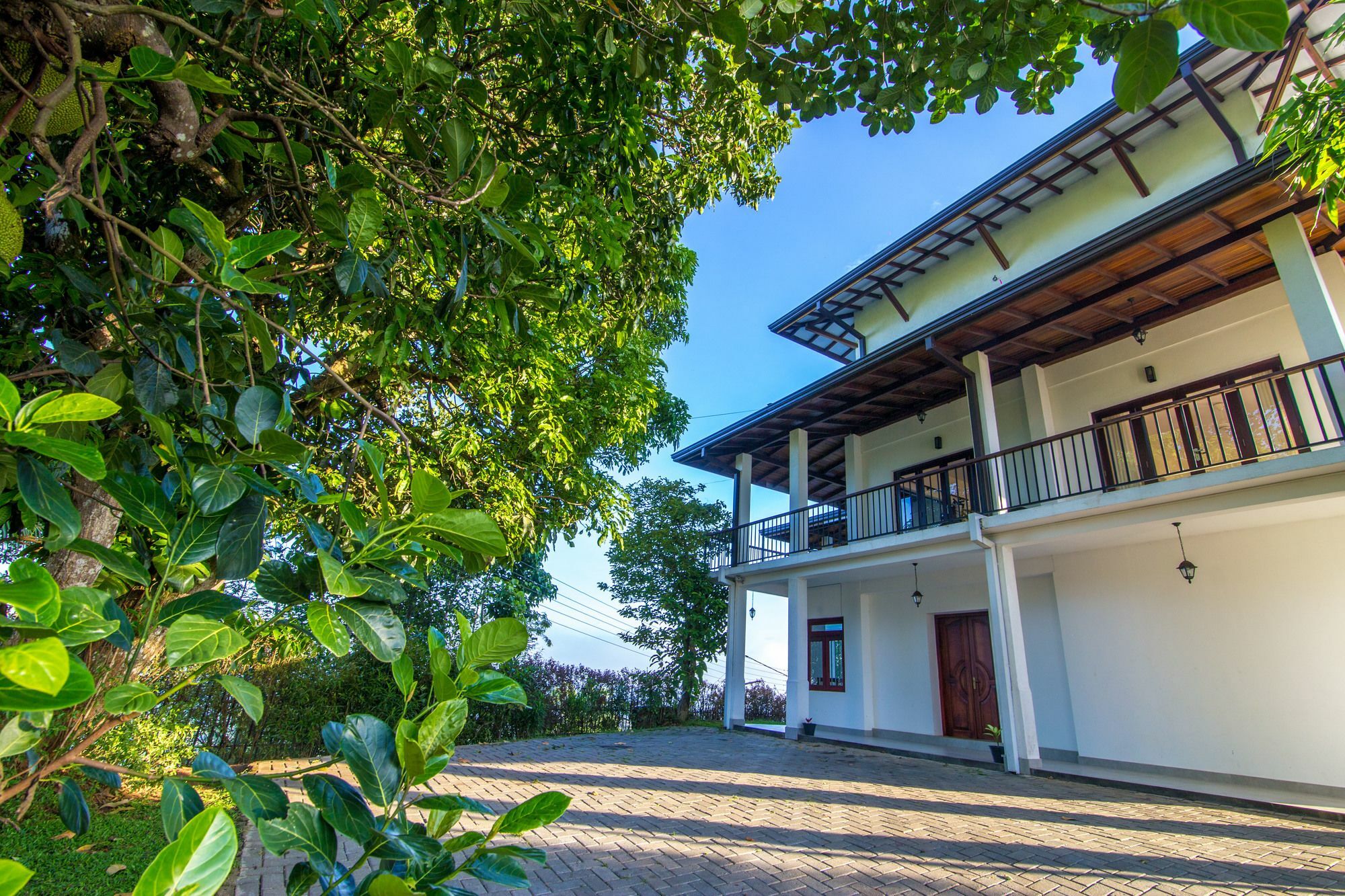 Jack Tree Lodge Kandy Bagian luar foto