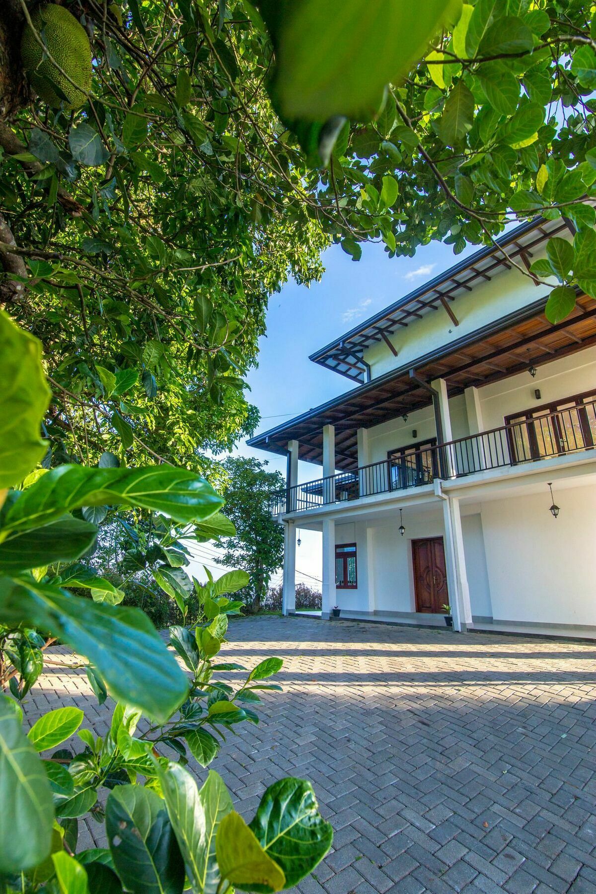 Jack Tree Lodge Kandy Bagian luar foto